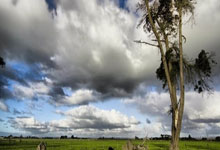 南非代表团射箭选手表现出色，力压对手进入四强