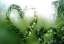 南非代表团射箭选手表现出色，力压对手进入四强