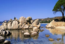 南非代表团射箭选手表现出色，力压对手进入四强